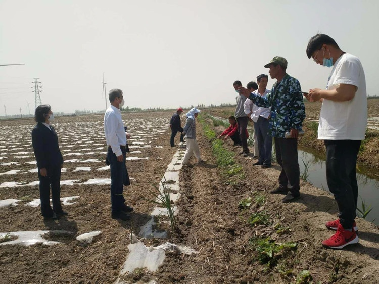 寧河區(qū)人民法院工作人員在東棘坨鎮(zhèn)毛毛匠村田間為種植戶制定調(diào)解方案。寧河區(qū)人民法院供圖